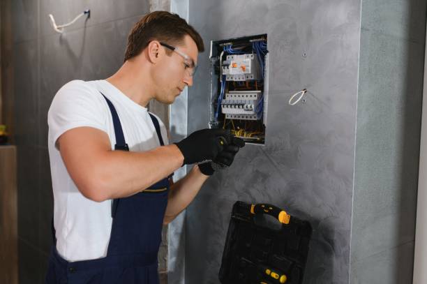 Best Electric Panel Repair  in Columbus, WI
